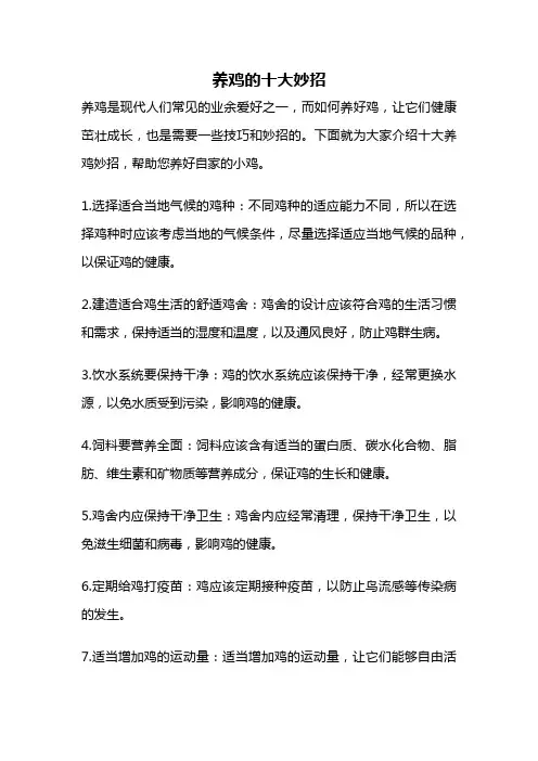 养鸡的十大妙招