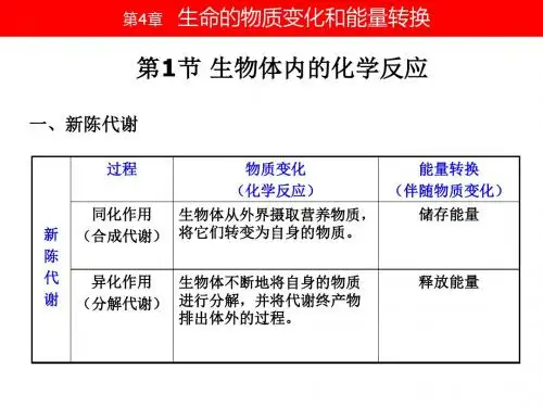 4-1 生物体内的化学反应