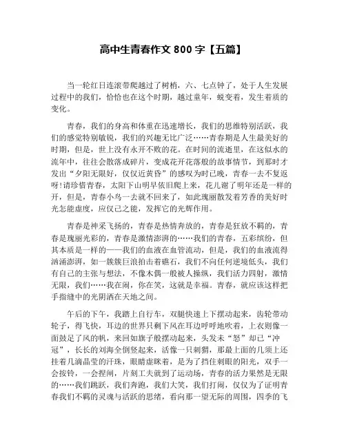 高中生青春作文800字【五篇】