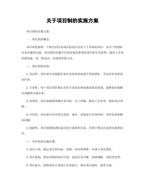 关于项目制的实施方案