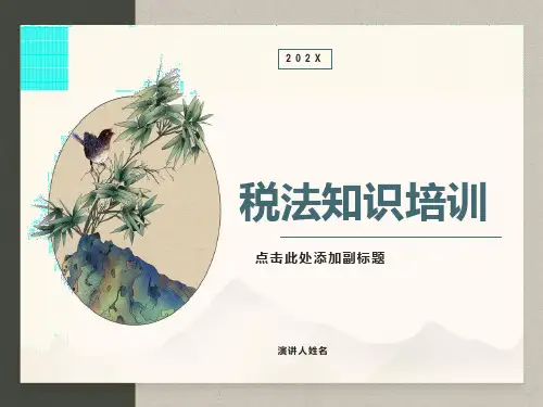 税法基础知识培训