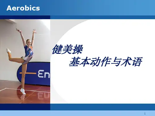 健美操基本动作与术语2