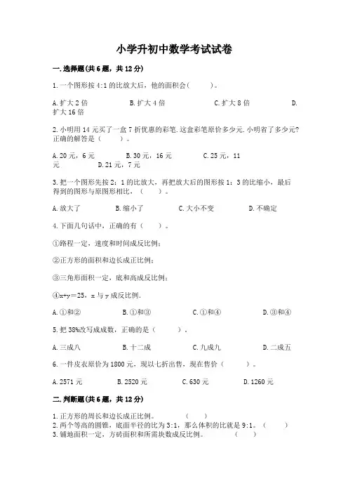 小学升初中数学考试试卷及完整答案(名师系列)