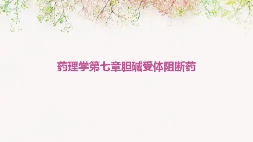 药理学第七章、胆碱受体阻断药