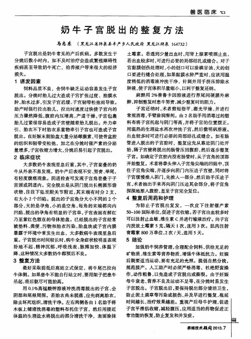 奶牛子宫脱出的整复方法