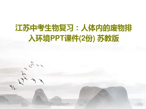 江苏中考生物复习:人体内的废物排入环境PPT课件(2份) 苏教版共54页文档