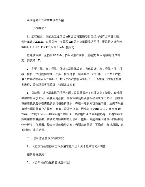 箱梁砼质量问题修补方案(新)_图文.