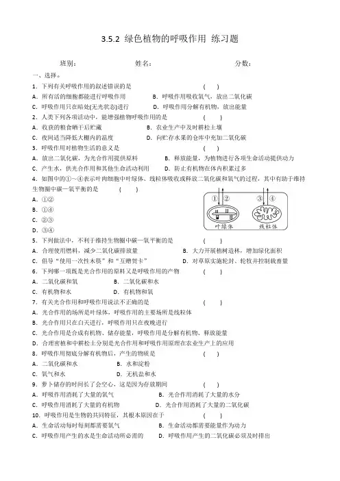 绿色植物的呼吸作用 练习题