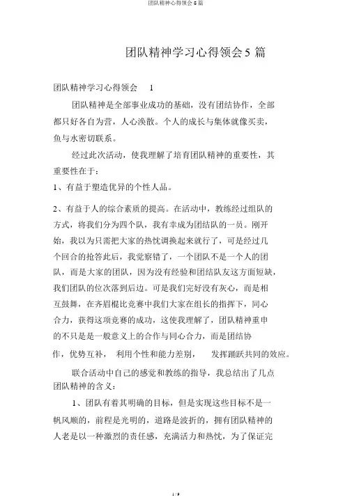 团队精神心得体会5篇