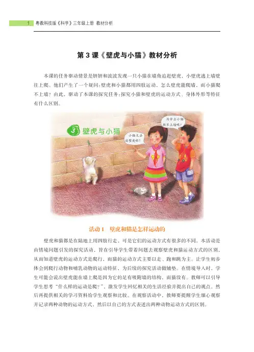 三年级上册第3课《壁虎与小猫》教材分析