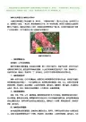 海棠花的养殖方法 海棠花如何养护