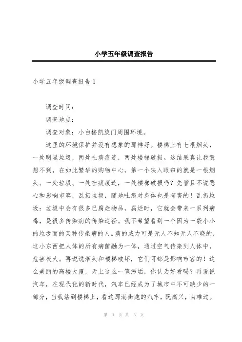 小学五年级调查报告