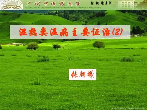 湿热证治2