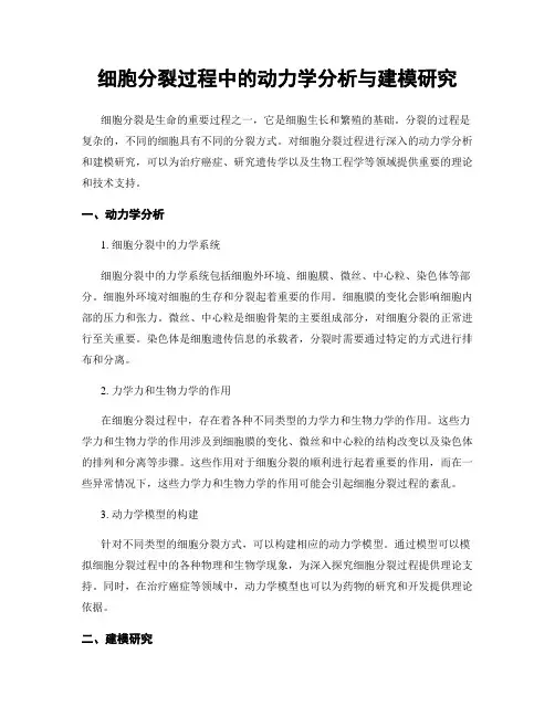 细胞分裂过程中的动力学分析与建模研究