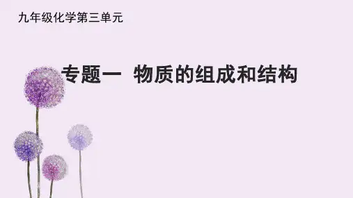 初三九年级化学 复习专题物质的组成和结构课件
