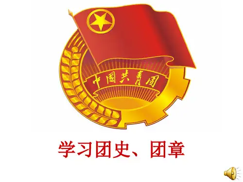 团章团史