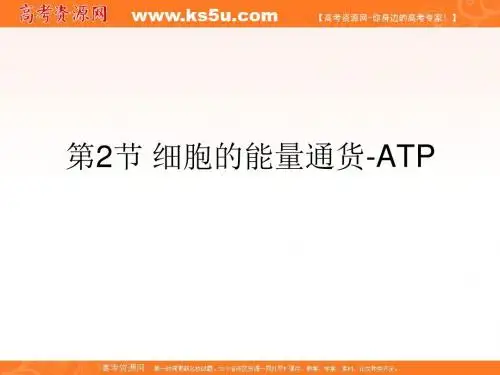 生物：5.2《细胞的能量“通货”—ATP》课件(新人教版必修1)高一