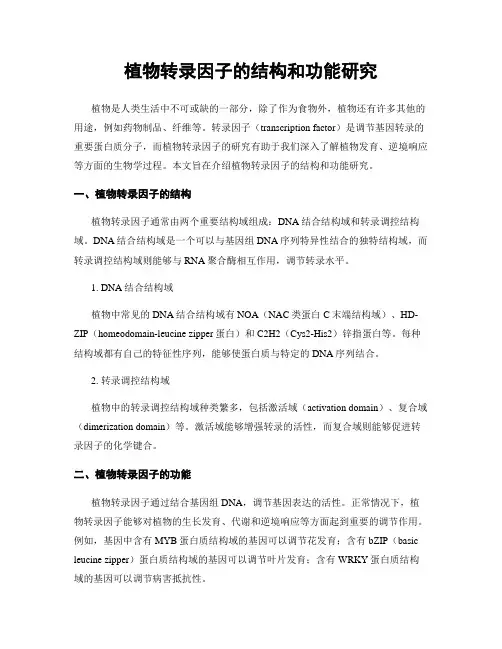 植物转录因子的结构和功能研究
