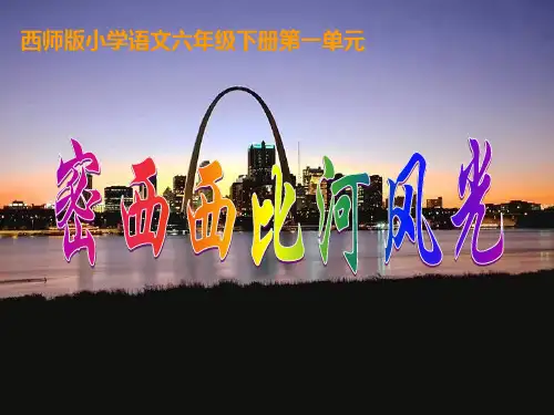 《密西西比河风光》课件
