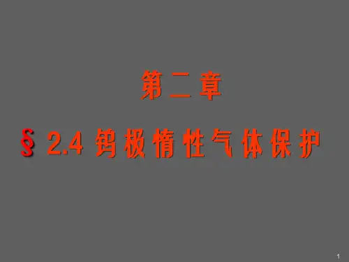 钨极惰性气体保护焊(TIG)