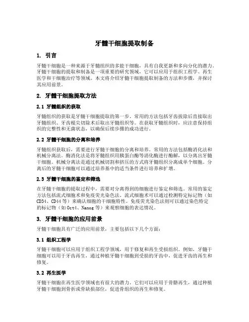 牙髓干细胞提取制备