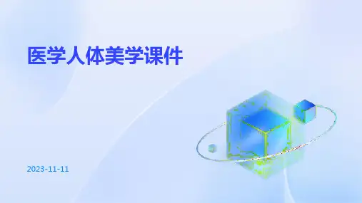 医学人体美学课件