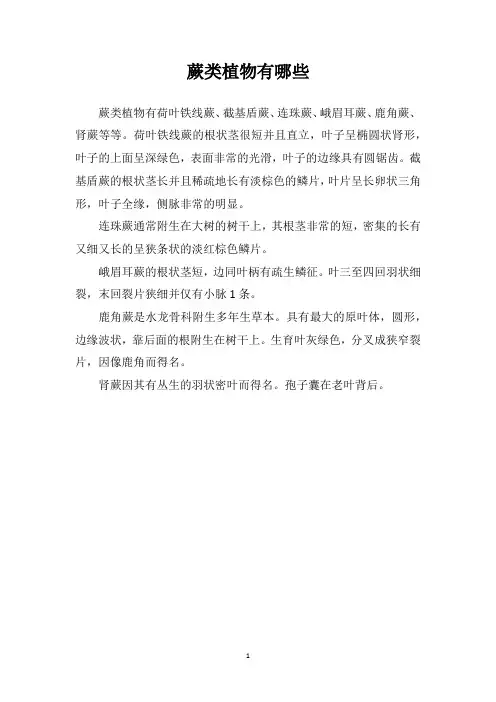 蕨类植物有哪些