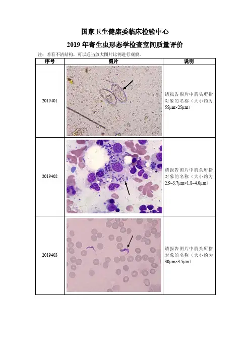2019年寄生虫形态学检查室间质量评价