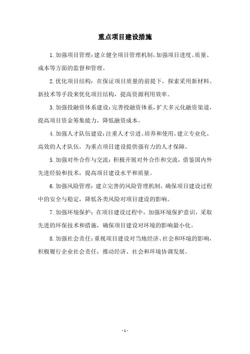 重点项目建设措施