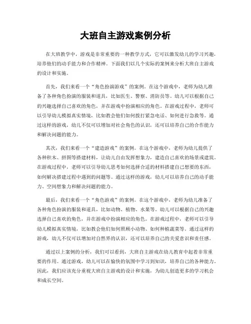 大班自主游戏案例分析