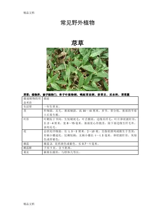 (整理)常见野外植物