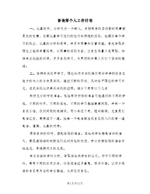 2024年咨询师个人工作计划（6篇）