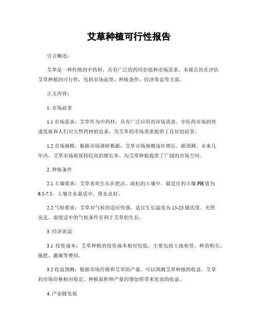 艾草种植可行性报告
