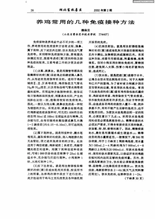 养鸡常用的几种免疫接种方法