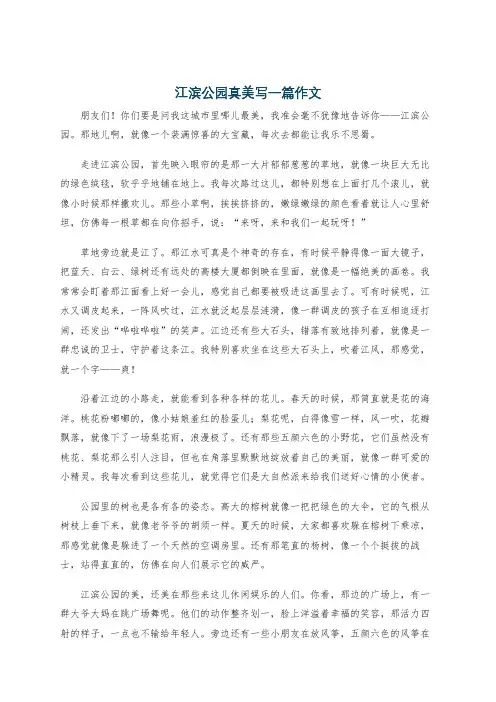 江滨公园真美写一篇作文
