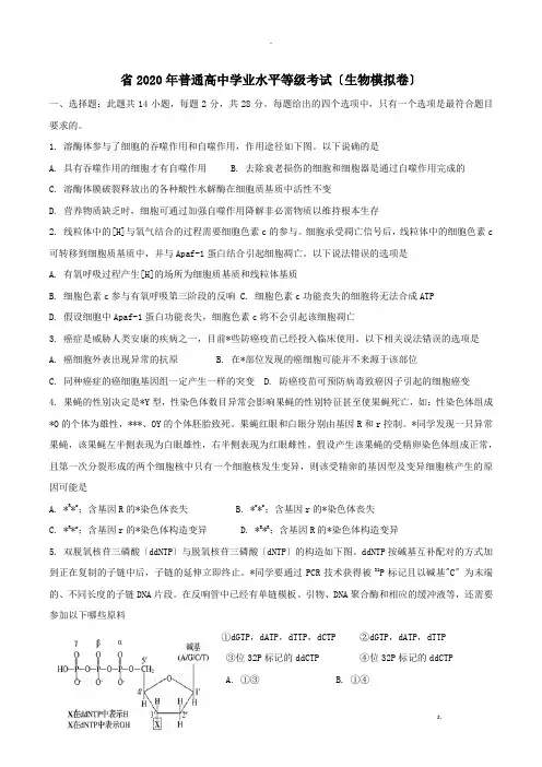 山东省2020年普通高中学业水平等级考试模拟卷生物试题