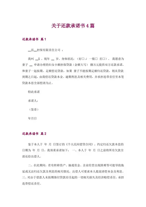 关于还款承诺书4篇