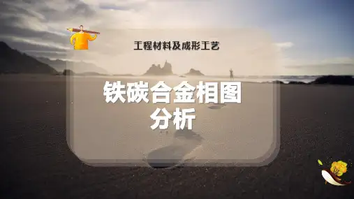铁碳合金相图分析