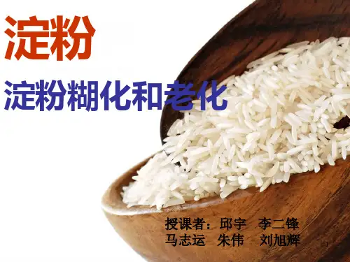 淀粉课件