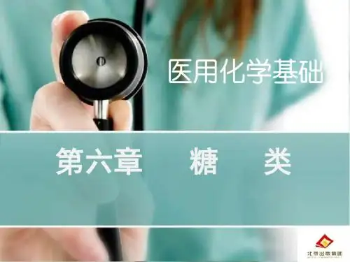 6第六章  糖   类