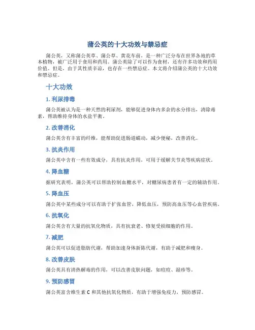 蒲公英的十大功效与禁忌症