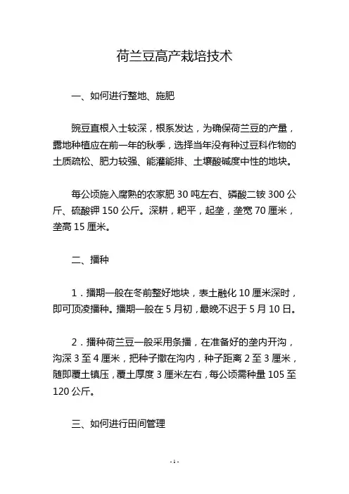 荷兰豆高产栽培技术