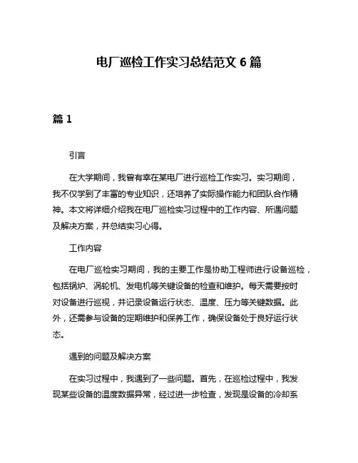 电厂巡检工作实习总结范文6篇