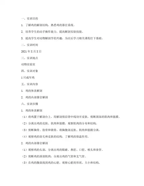 鸡的尸体解剖实训报告
