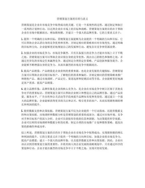 营销策划方案的目的与意义
