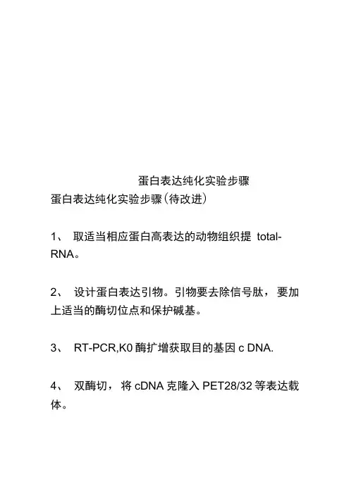 蛋白表达纯化实验步骤
