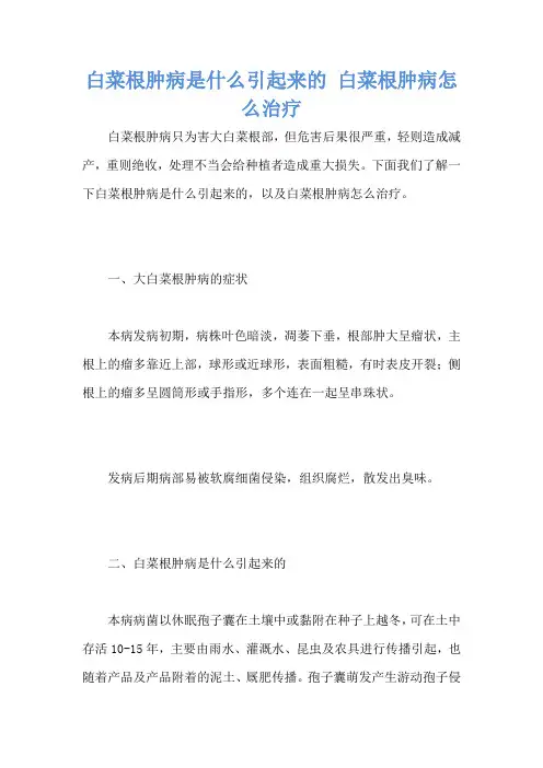 白菜根肿病是什么引起来的 白菜根肿病怎么治疗