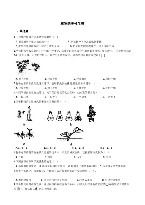 植物的无性生殖 同步练习含解析(2021年初二科学浙教版)