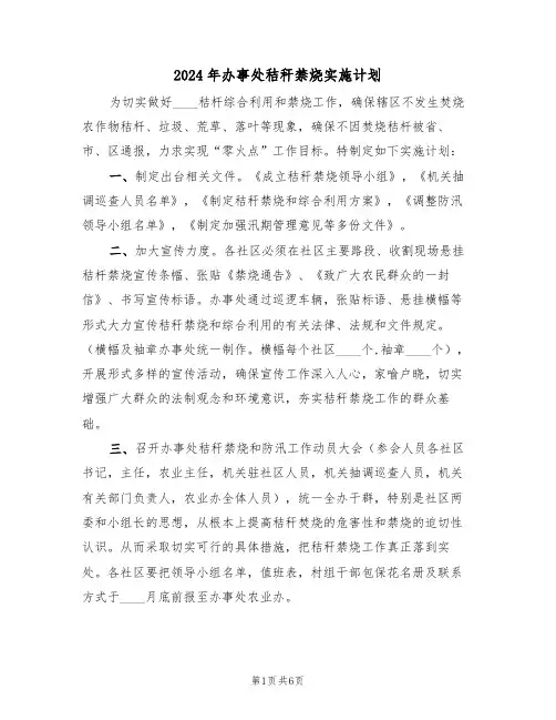2024年办事处秸秆禁烧实施计划(二篇)