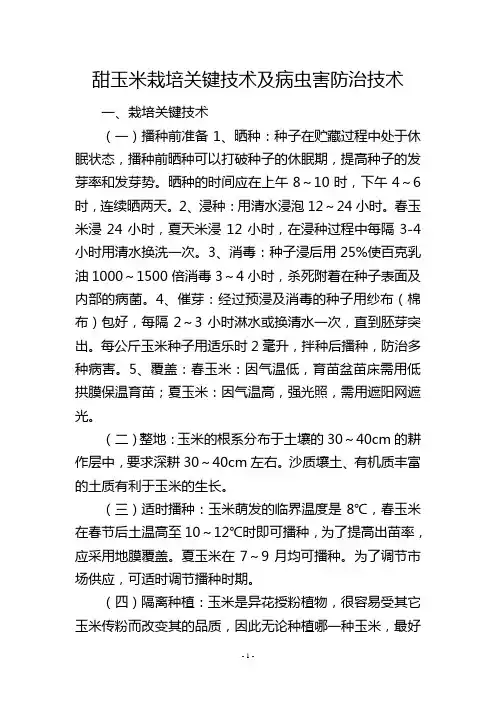 甜玉米栽培关键技术及病虫害防治技术